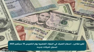 تغير مفاجئ.. أسعار الصرف في البنوك المصرية يوم الخميس 18 سبتمبر 2025 تسجل تحركات جديدة